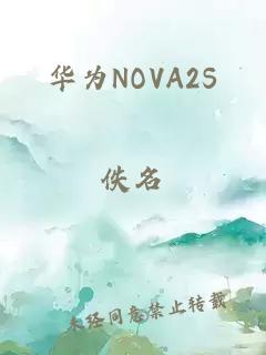 华为NOVA2S